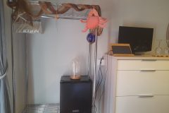 20260317_120604-scaled
