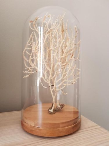 Detalle habitación del Mar