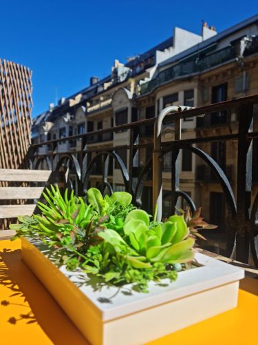 Vistas desde el balcón